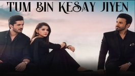Tum Bin Kesay Jiyen - Episode 54 - 23rd April 2024